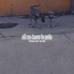 Don't Let'em Look Through The Walls (Acoustic Worktape)