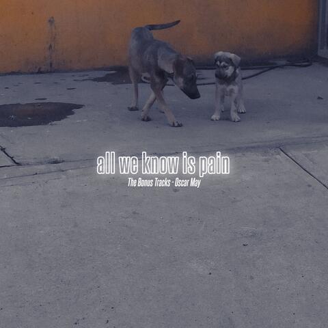 all we know is pain (The Bonus Tracks)