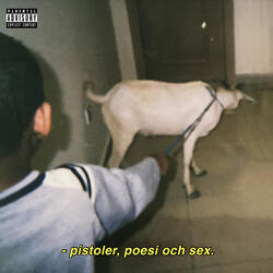 Nånting I Luften