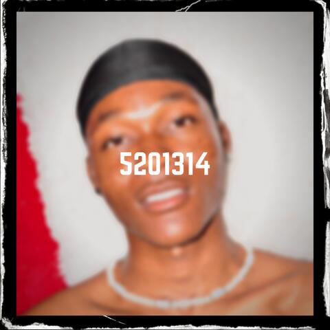5201314