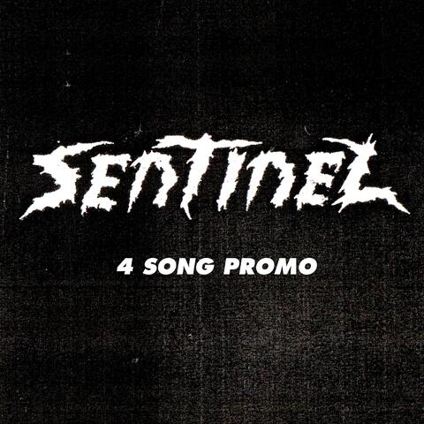 4 Song Promo