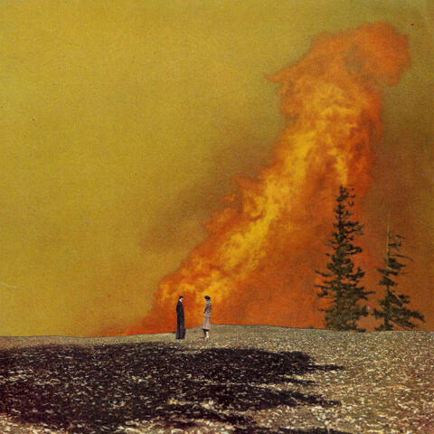 Wildfire