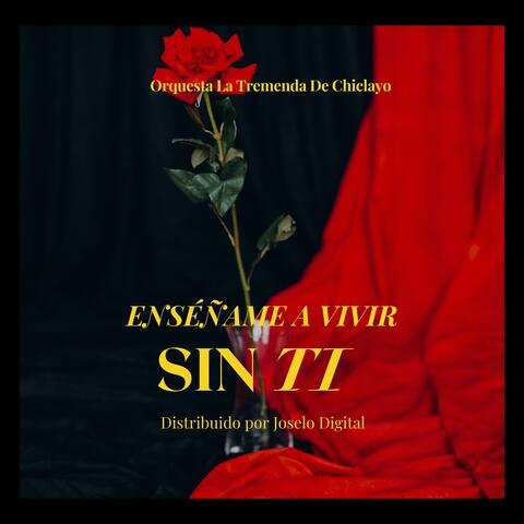 Enséñame a Vivir Sin Ti