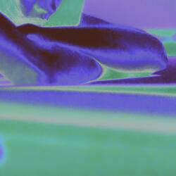 Sensations