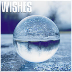 Wishes
