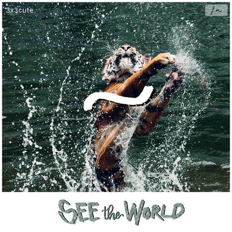 See The World