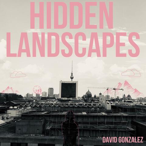 Hidden Landscapes