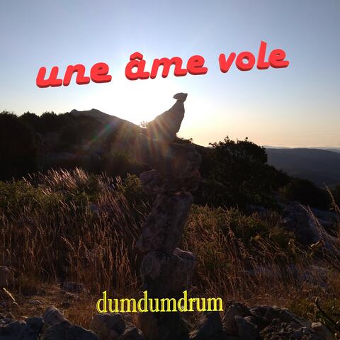 Une âme vole