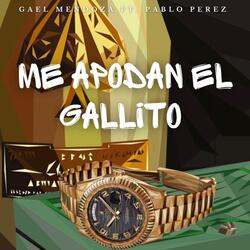 Me Apodan El Gallito