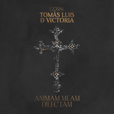 Animam Meam Dilectam