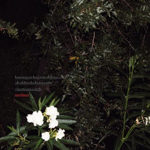 medusa