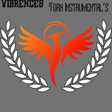 Torn Instrumental's