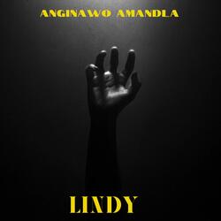 Anginawo Amandla