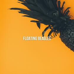 Floating Beagles