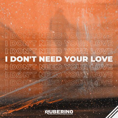 I Don't Need Your Love
