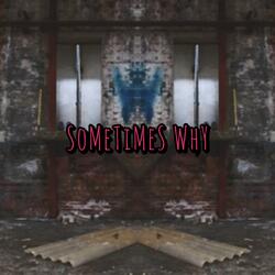 Some Times Why