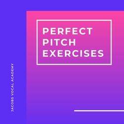 Perfect Pitch Exercise - Black Keys