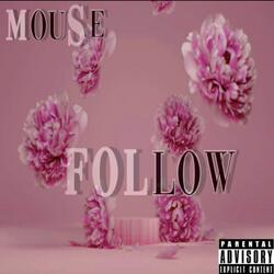 FOLLOW