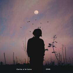Carta a la Luna