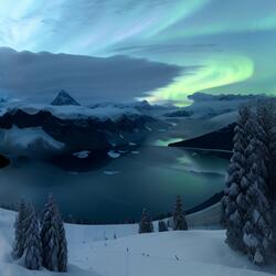 The Strings of Forever