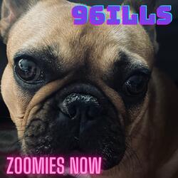 I Am Slowing Down On The Zoomies...