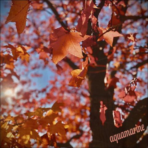 when autumn leaves fall