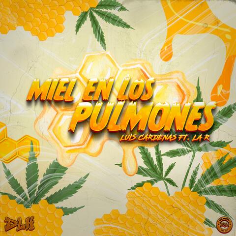 Miel En Los Pulmones.