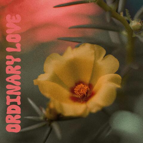 Ordinary Love
