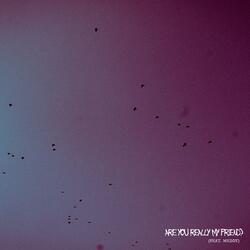 are you really my friend?