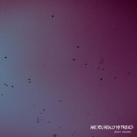 are you really my friend?