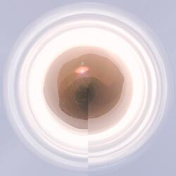 (Like the Morning Sun)