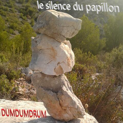 Le silence du papillon