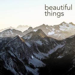 Beautiful Things