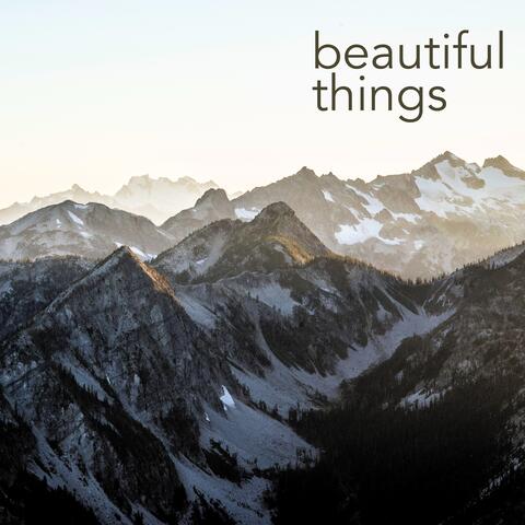Beautiful Things