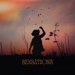 Sensations