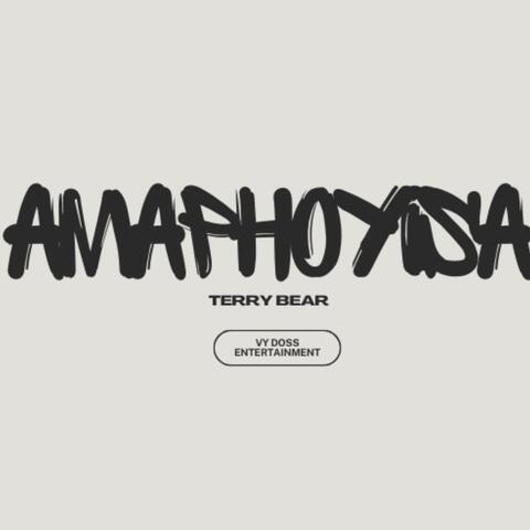 Amaphoyisa