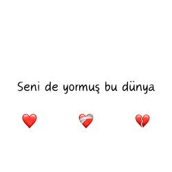 Seni de yormuş bu dünya