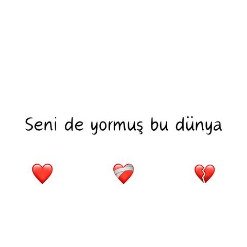 Seni de yormuş bu dünya