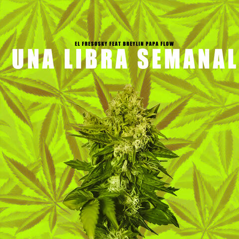 Una Libra Semanal