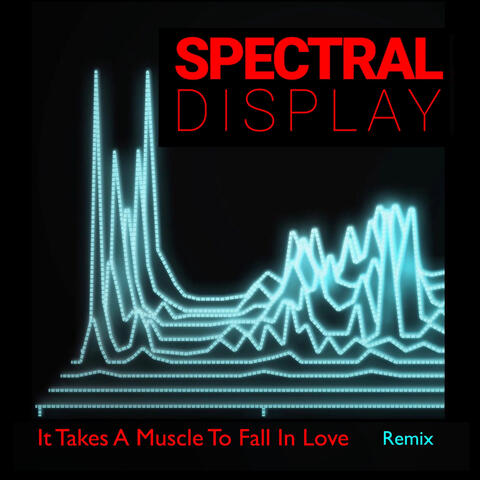 It Takes a Muscle to Fall in Love