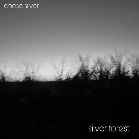 silver forest