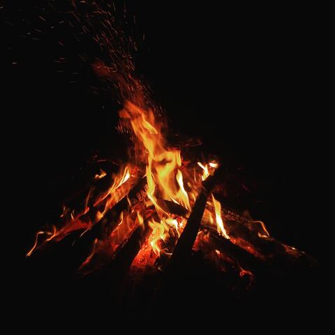 Wolf Howling by the Campfire
