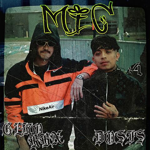 mic