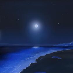 moonlit shore