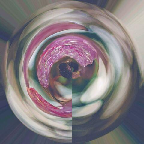 Inspiration in the Morning Rain