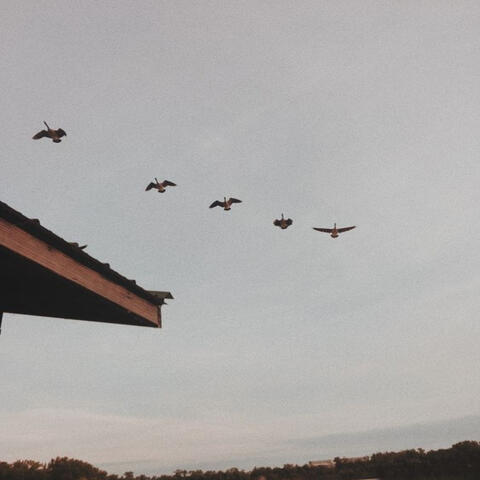 Flyaway