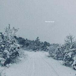 Winterland