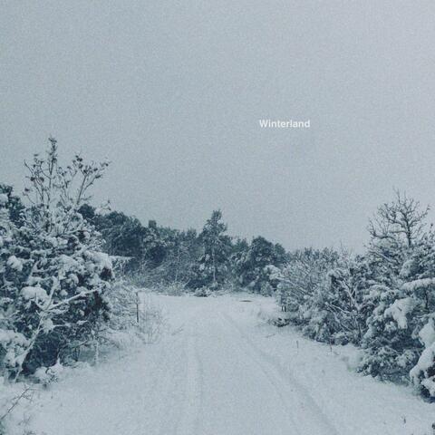 Winterland