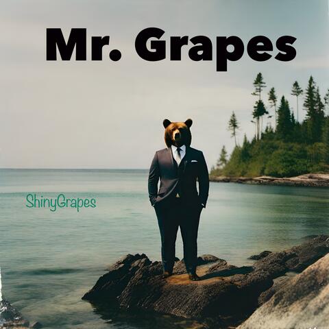 Mr. Grapes