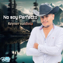 No soy perfecto